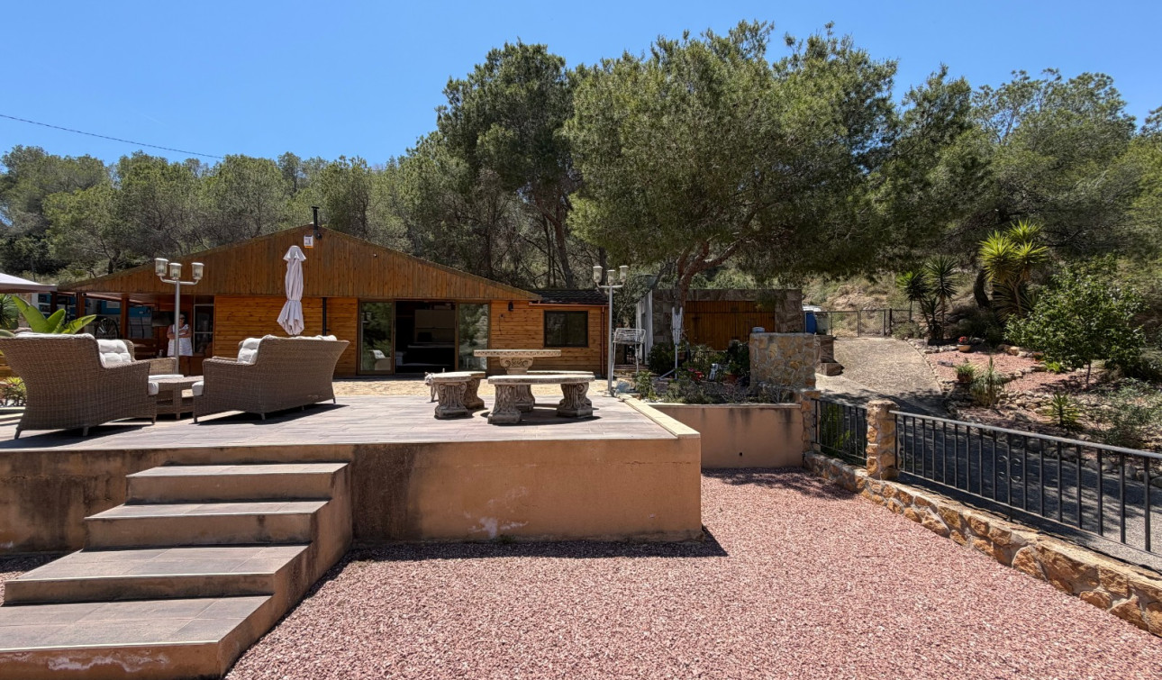 Herverkoop - Finca / Landgoed - Orihuela - Torremendo