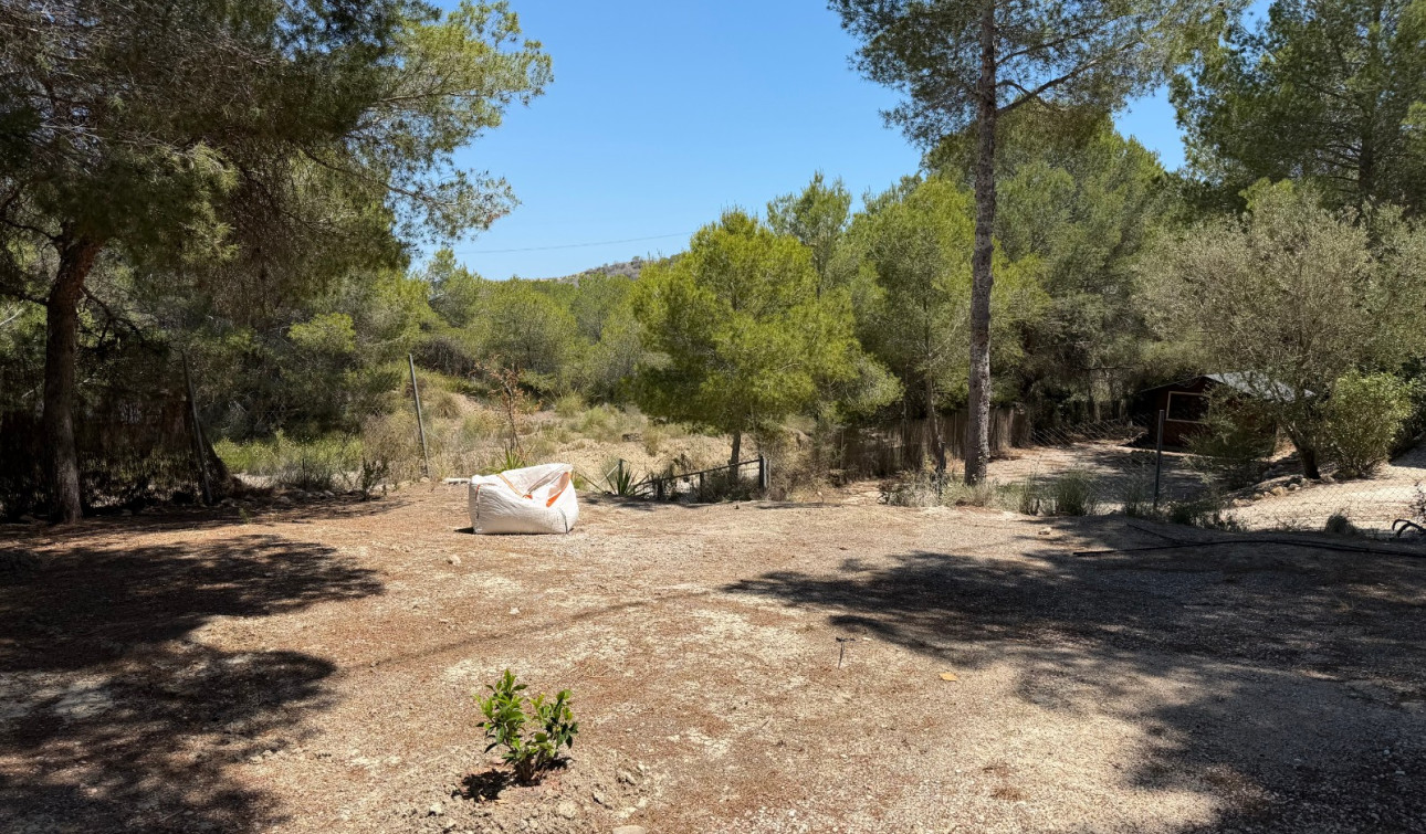 Herverkoop - Finca / Landgoed - Orihuela - Torremendo