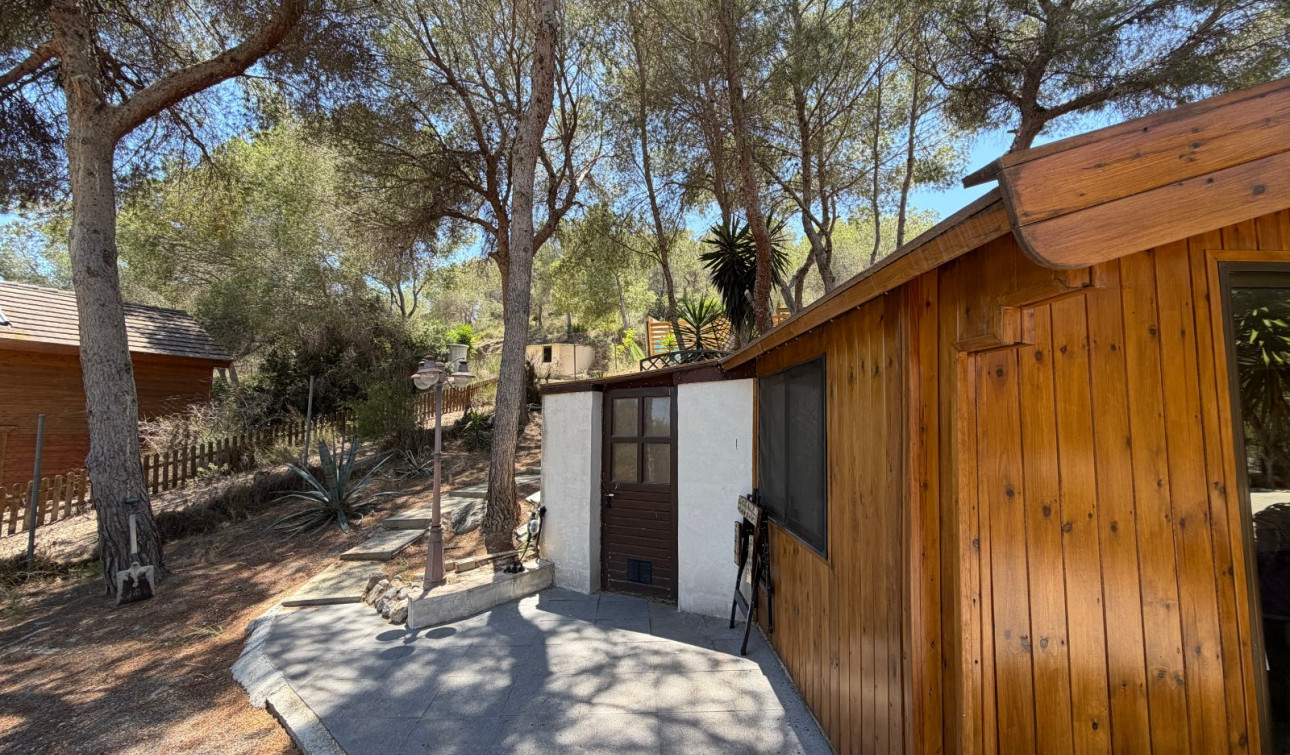 Herverkoop - Finca / Landgoed - Orihuela - Torremendo