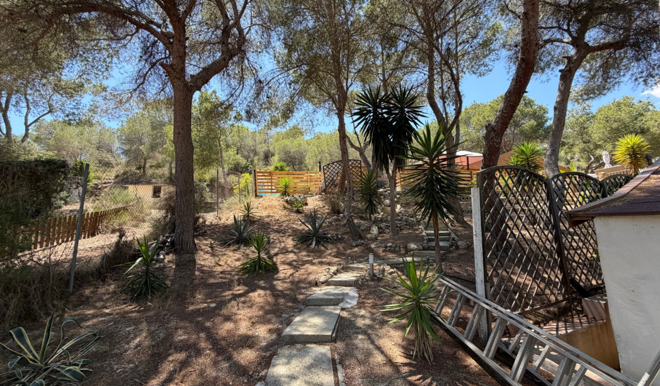 Herverkoop - Finca / Landgoed - Orihuela - Torremendo