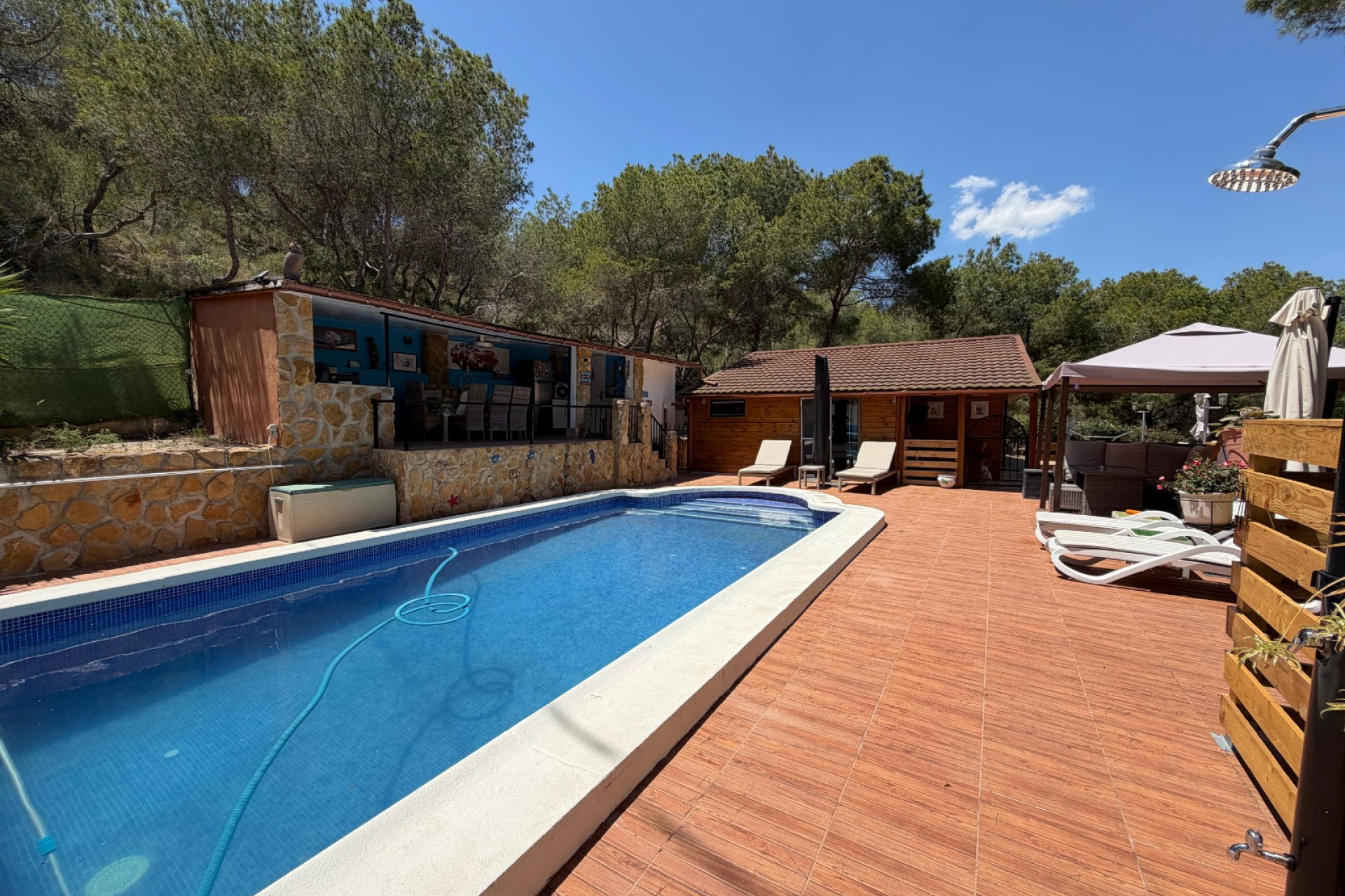 Herverkoop - Finca / Landgoed - Orihuela - Torremendo