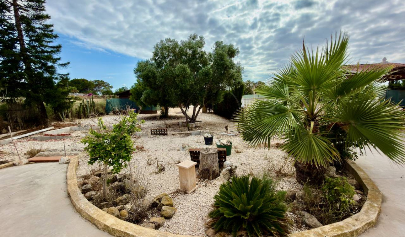 Herverkoop - Finca / Landgoed - San Fulgencio - La Marina