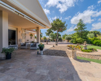 Herverkoop - Finca / Landgoed - San Miguel de Salinas - Torremendo