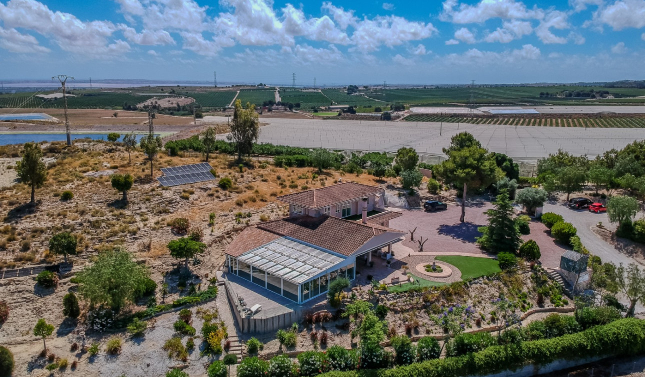 Herverkoop - Finca / Landgoed - San Miguel de Salinas - Torremendo