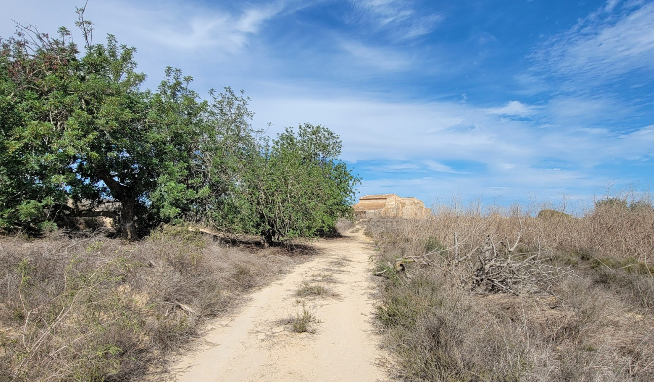 Herverkoop - Finca / Landgoed - San Miguel de Salinas