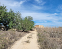 Herverkoop - Finca / Landgoed - San Miguel de Salinas