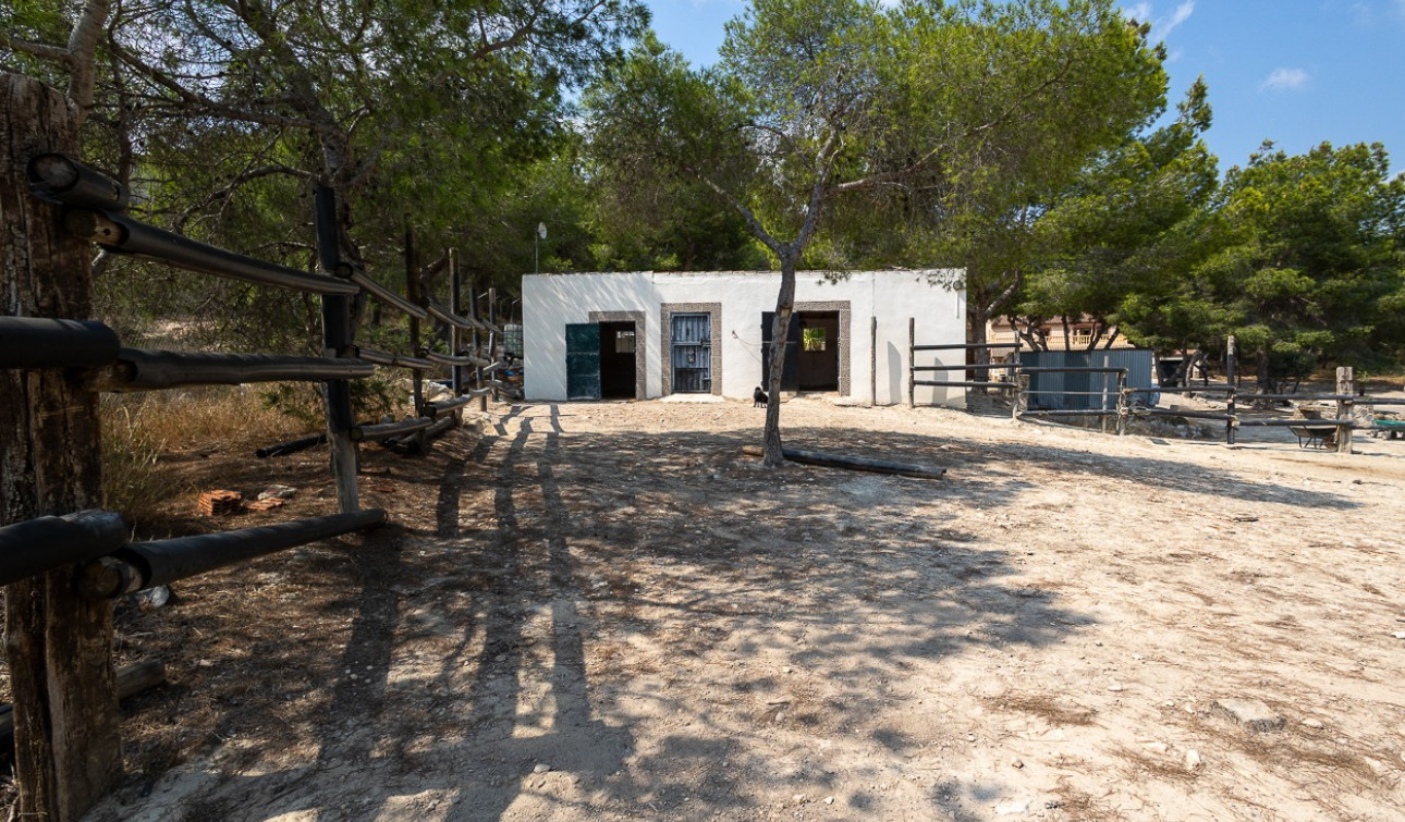 Herverkoop - Finca / Landgoed - Torremendo