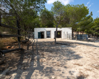 Herverkoop - Finca / Landgoed - Torremendo