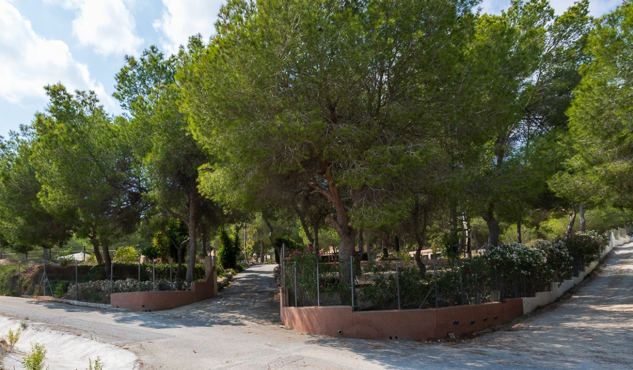 Herverkoop - Finca / Landgoed - Torremendo