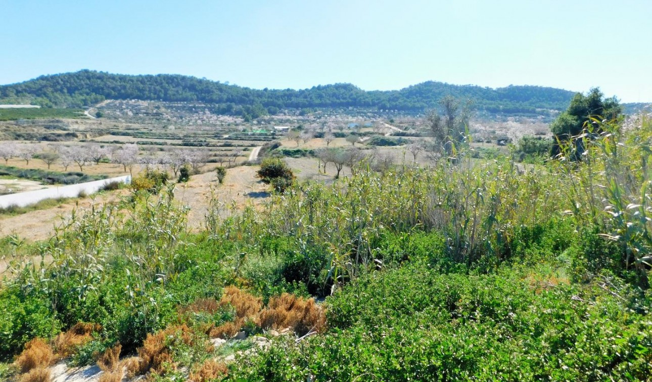 Herverkoop - Finca / Landgoed - Torremendo