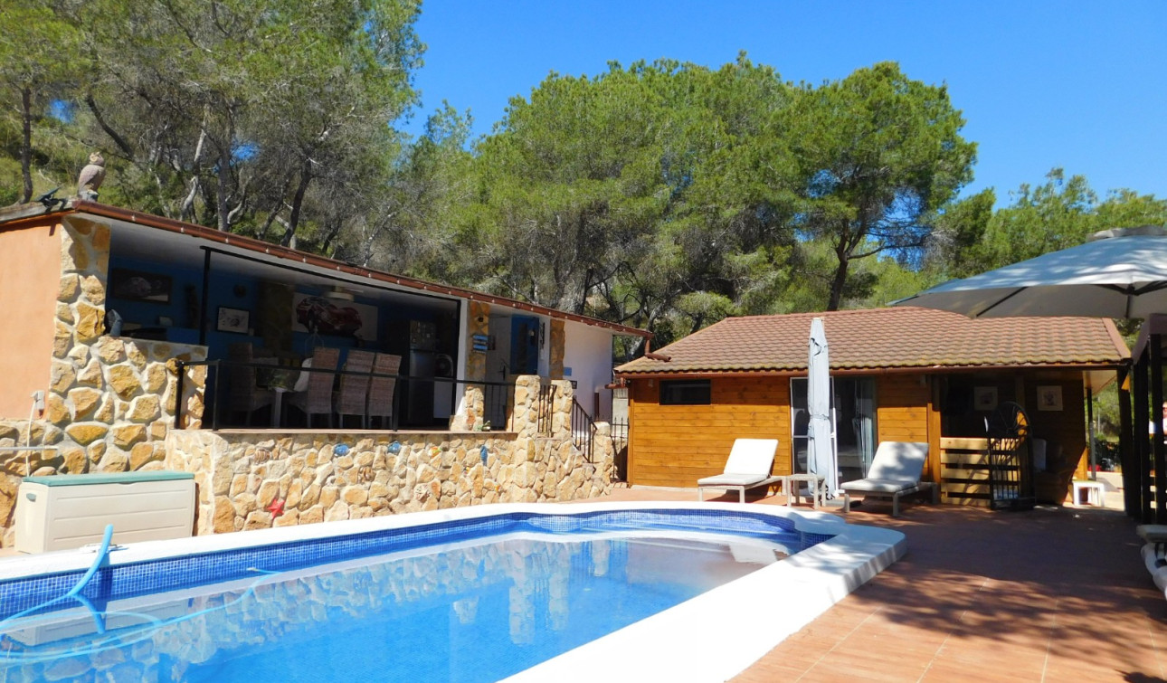 Herverkoop - Finca / Landgoed - Torremendo