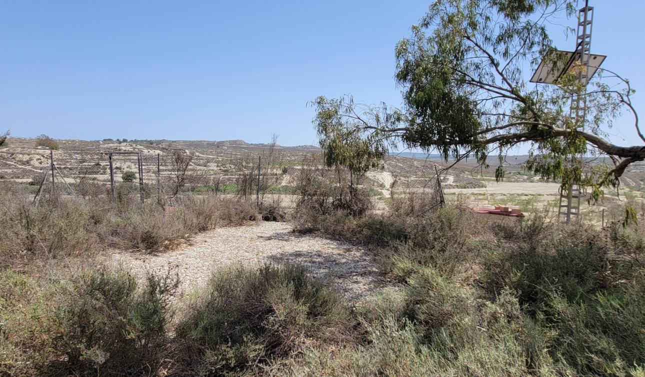 Herverkoop - Finca / Landgoed - Torremendo