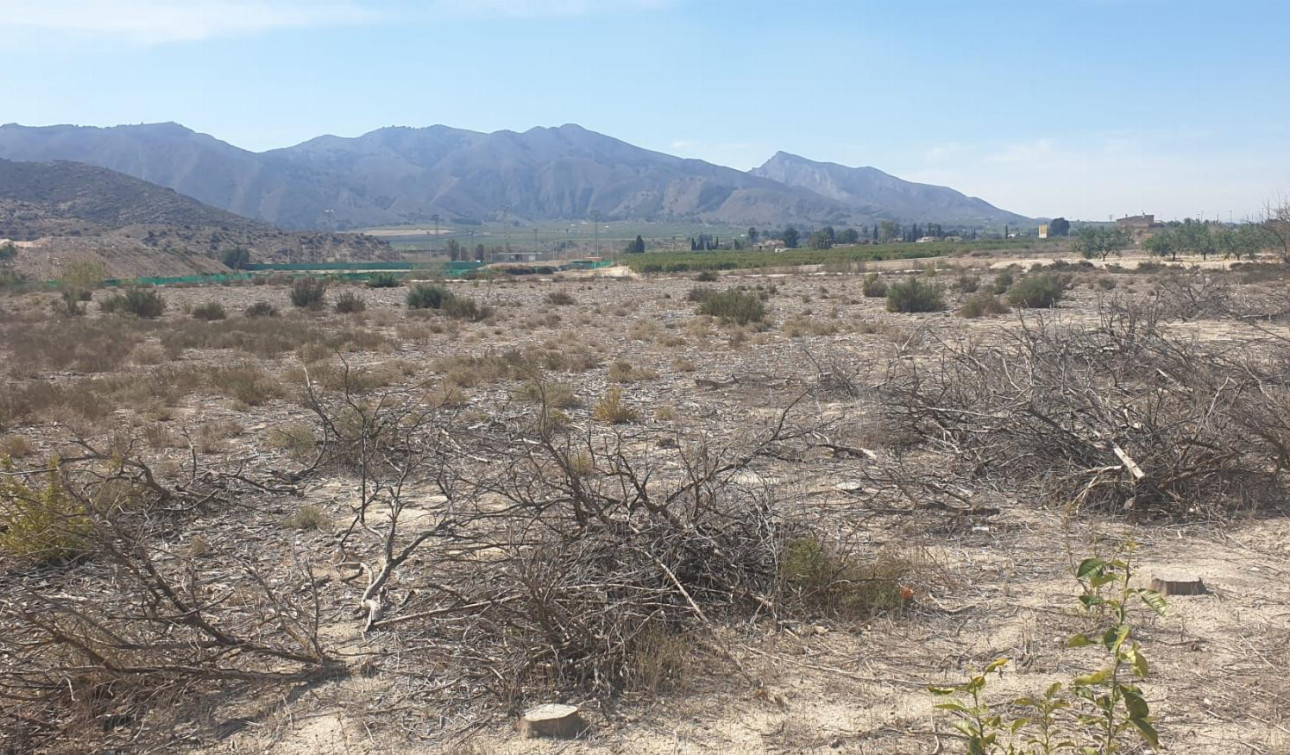 Herverkoop - Perceel / Grond - Benferri - HUERTA PUEBLO