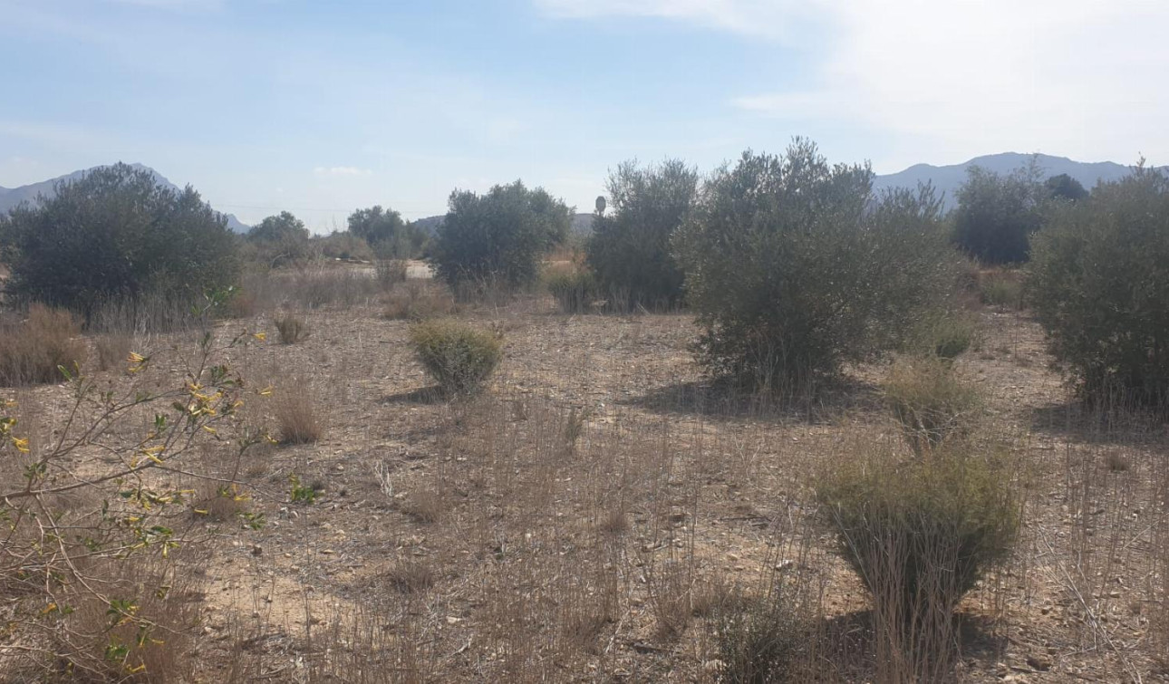 Herverkoop - Perceel / Grond - Benferri - HUERTA PUEBLO