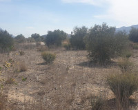 Herverkoop - Perceel / Grond - Benferri - HUERTA PUEBLO