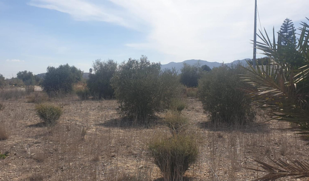 Herverkoop - Perceel / Grond - Benferri - HUERTA PUEBLO