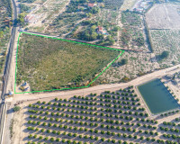 Herverkoop - Perceel / Grond - Crevillente - Comunidad valenciana