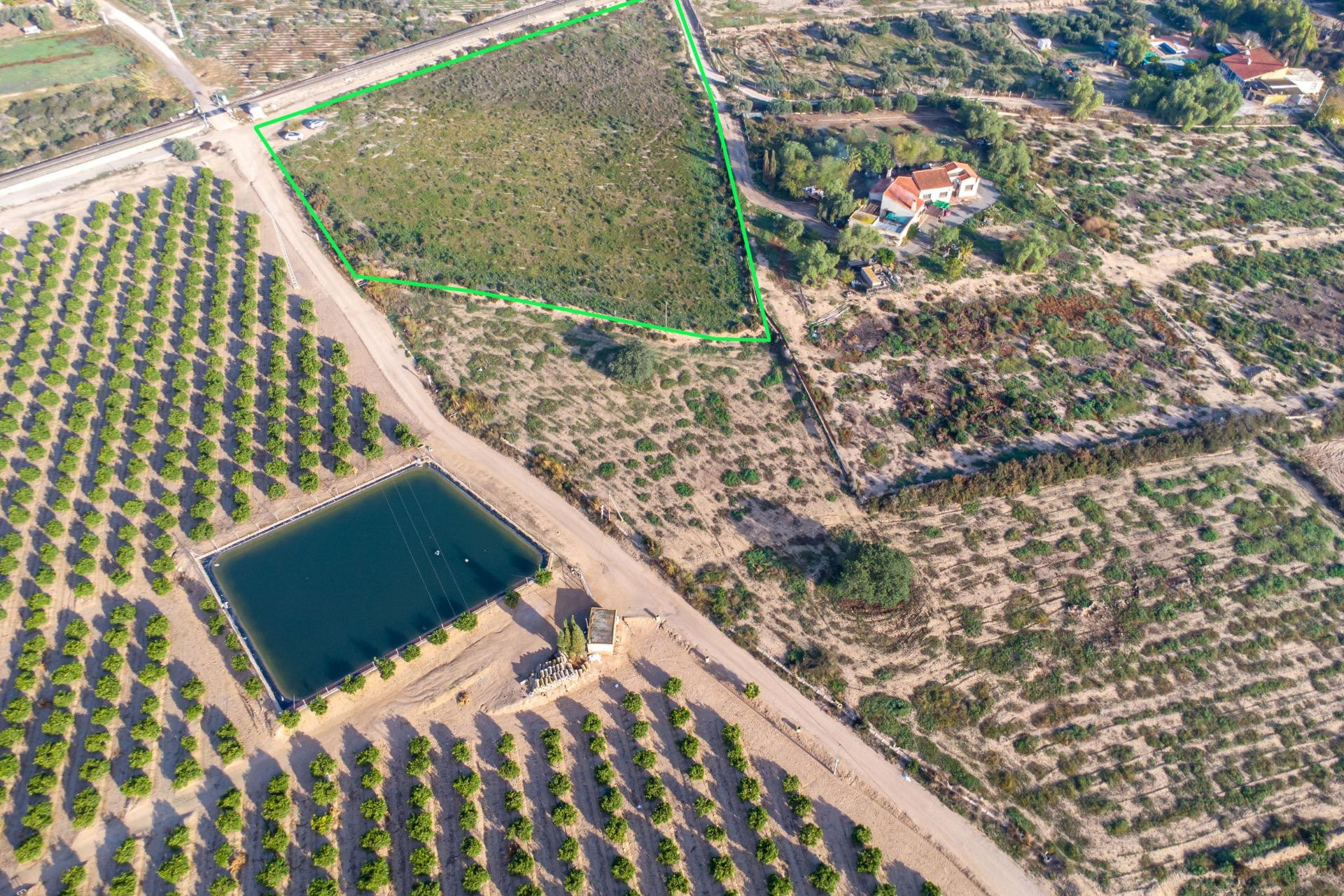 Herverkoop - Perceel / Grond - Crevillente - Comunidad valenciana