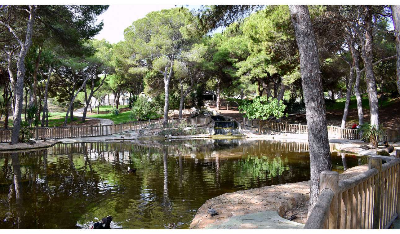 Herverkoop - Perceel / Grond - Guardamar del Segura