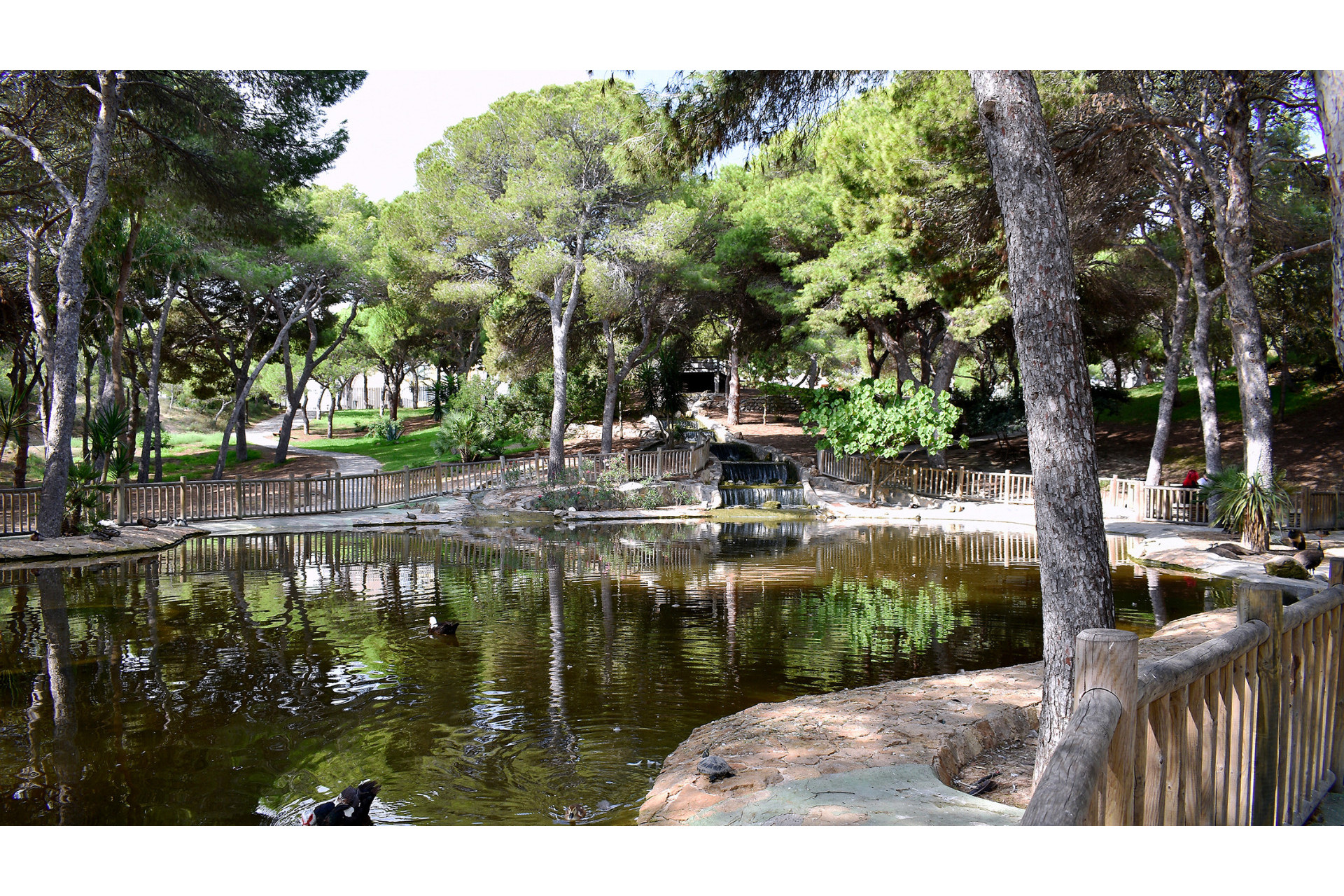 Herverkoop - Perceel / Grond - Guardamar del Segura