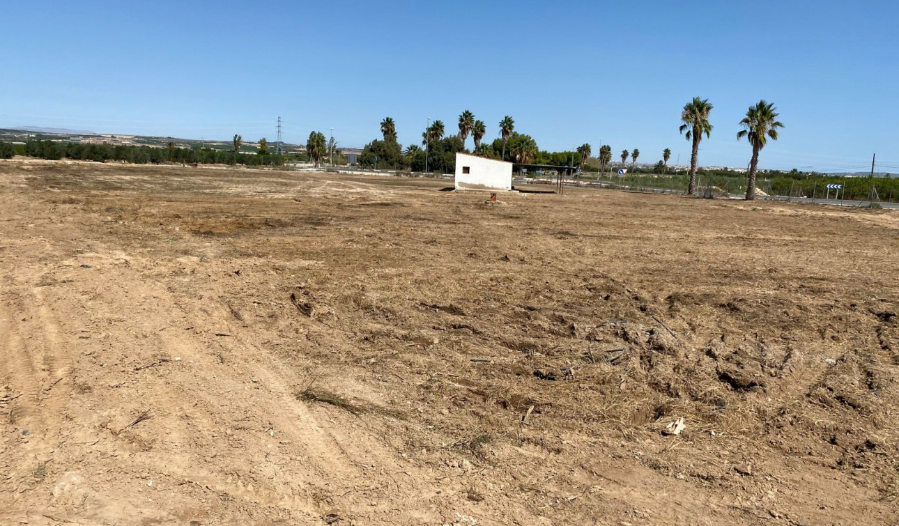 Herverkoop - Perceel / Grond - San Miguel de Salinas - San Miguel Salinas