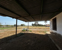 Herverkoop - Perceel / Grond - San Miguel de Salinas - San Miguel Salinas