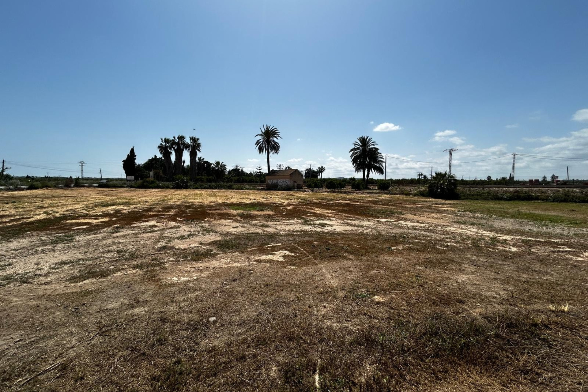 Herverkoop - Perceel / Grond - San Miguel de Salinas - San Miguel Salinas