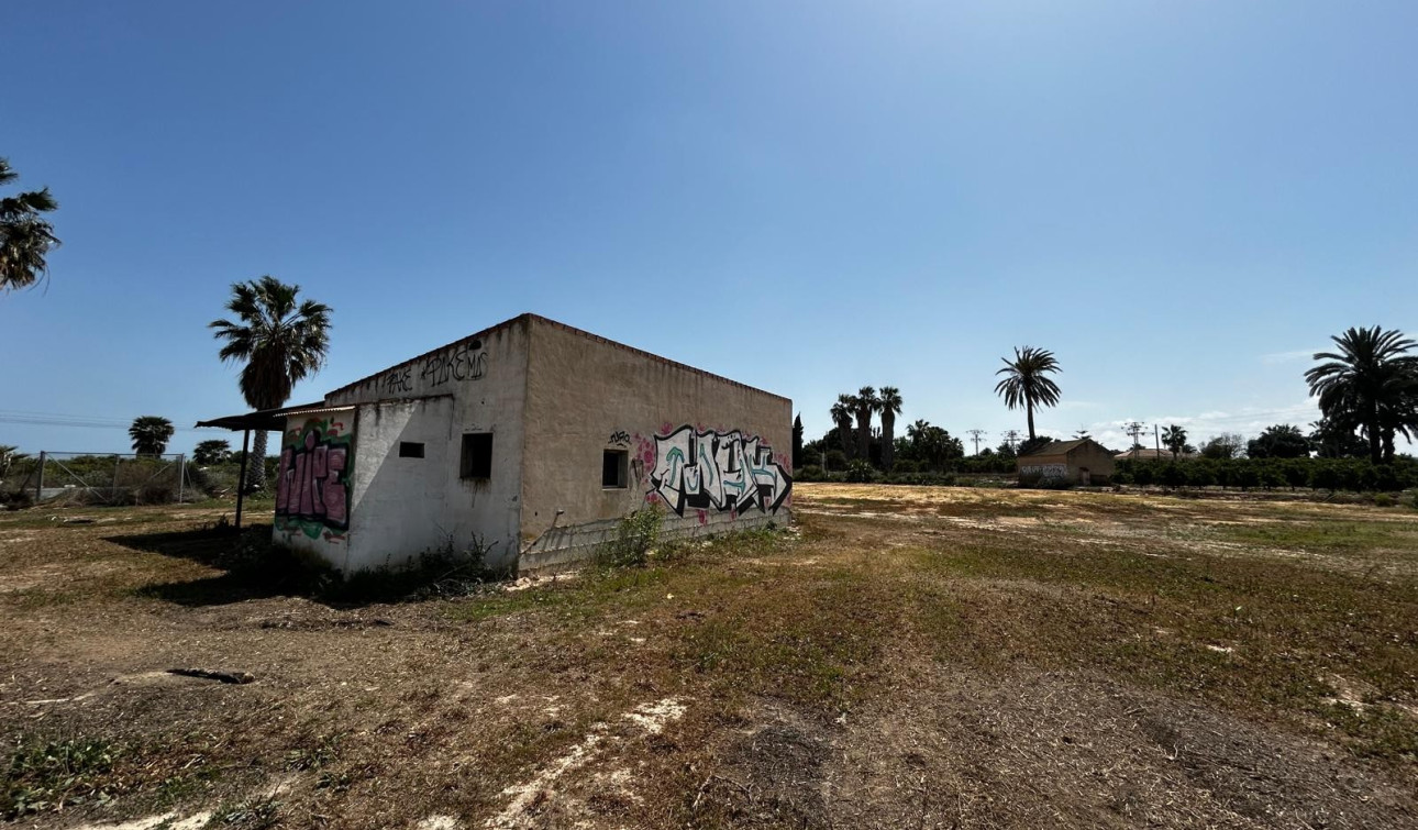Herverkoop - Perceel / Grond - San Miguel de Salinas - San Miguel Salinas