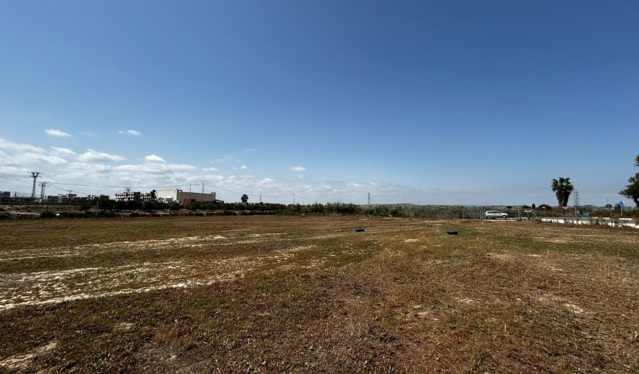 Herverkoop - Perceel / Grond - San Miguel de Salinas - San Miguel Salinas