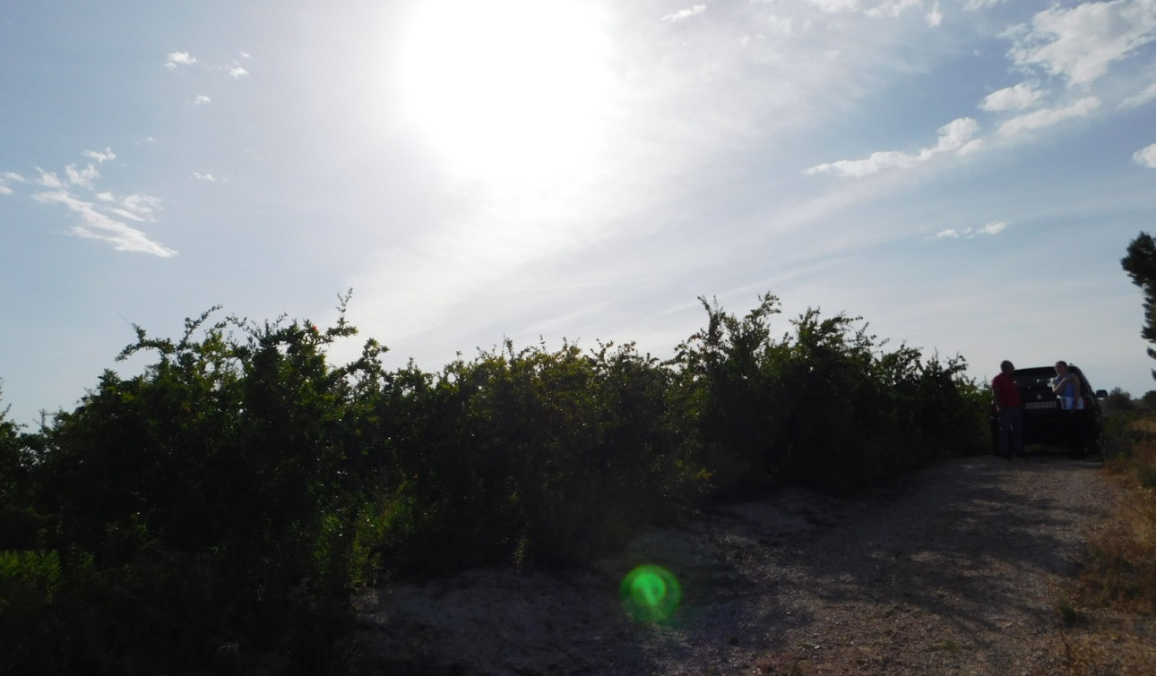 Herverkoop - Perceel / Grond - Torremendo