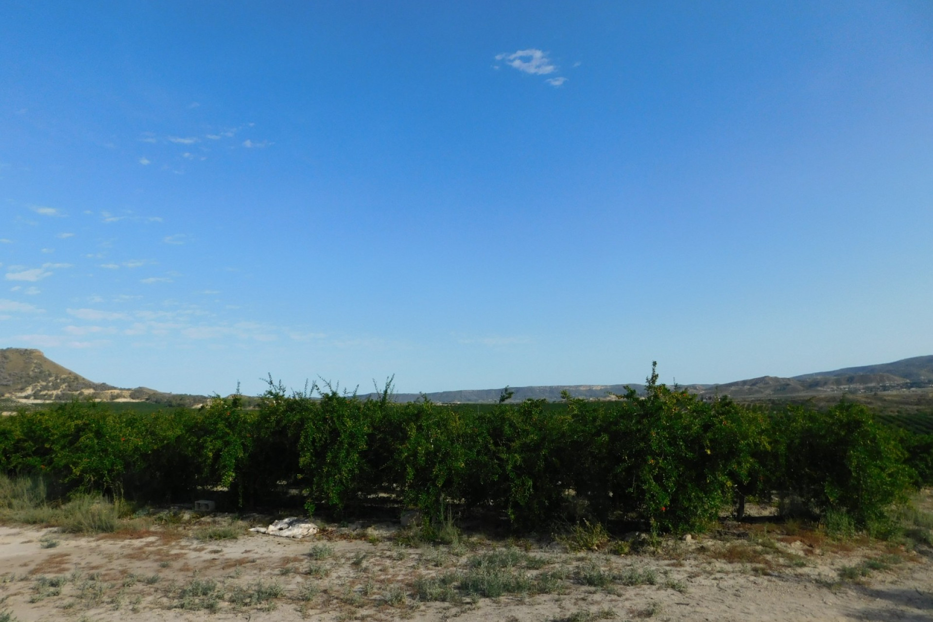 Herverkoop - Perceel / Grond - Torremendo