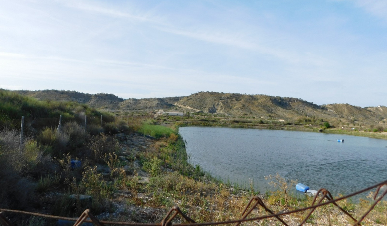 Herverkoop - Perceel / Grond - Torremendo