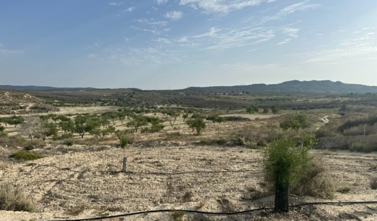 Herverkoop - Perceel / Grond - Torremendo
