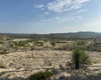 Herverkoop - Perceel / Grond - Torremendo