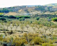 Herverkoop - Perceel / Grond - Torremendo