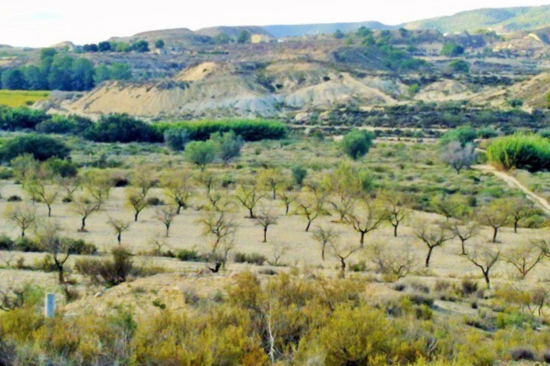 Herverkoop - Perceel / Grond - Torremendo