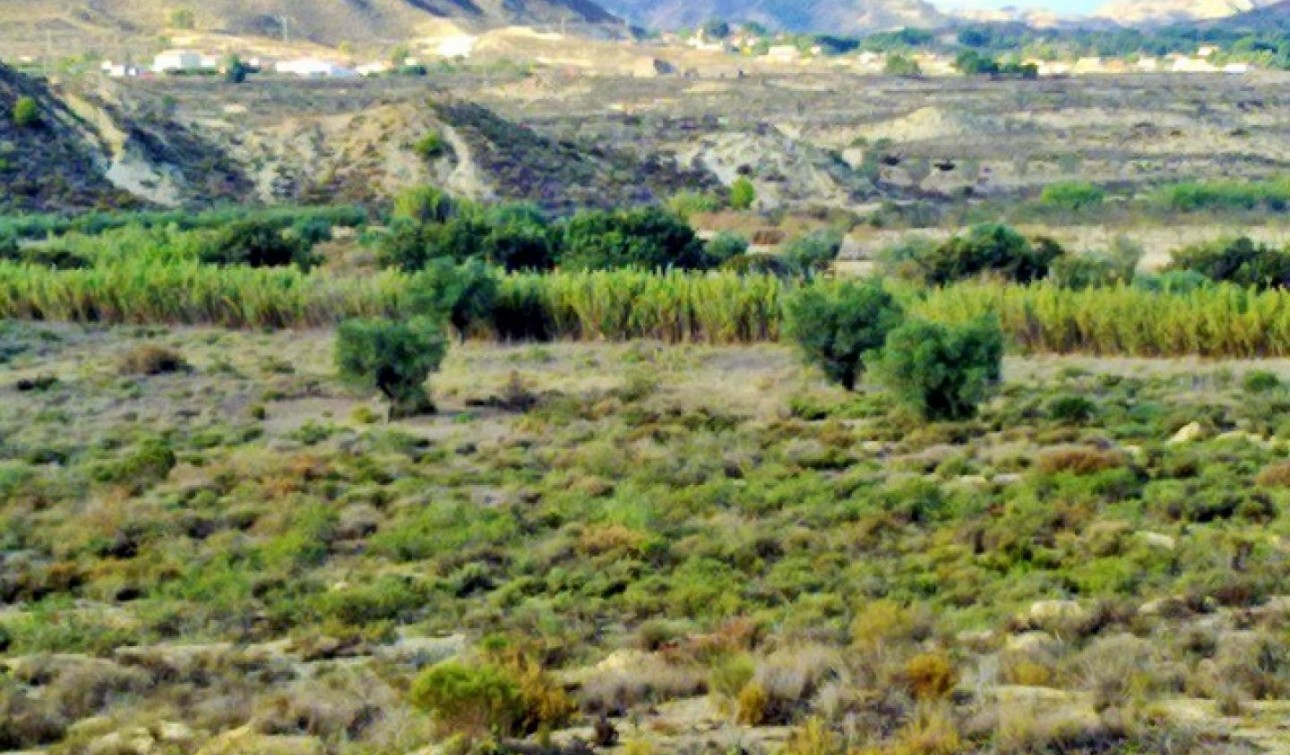 Herverkoop - Perceel / Grond - Torremendo