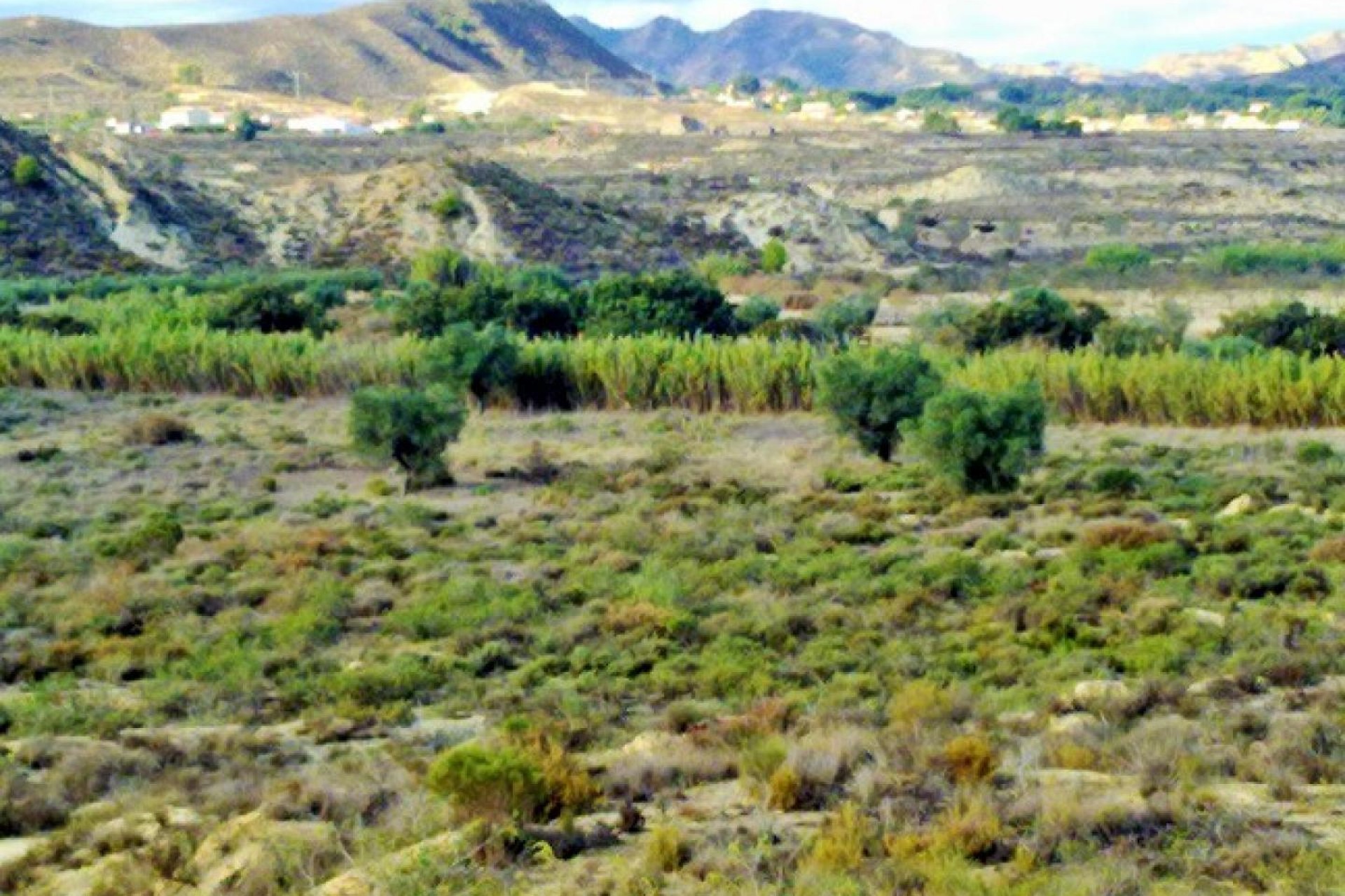 Herverkoop - Perceel / Grond - Torremendo