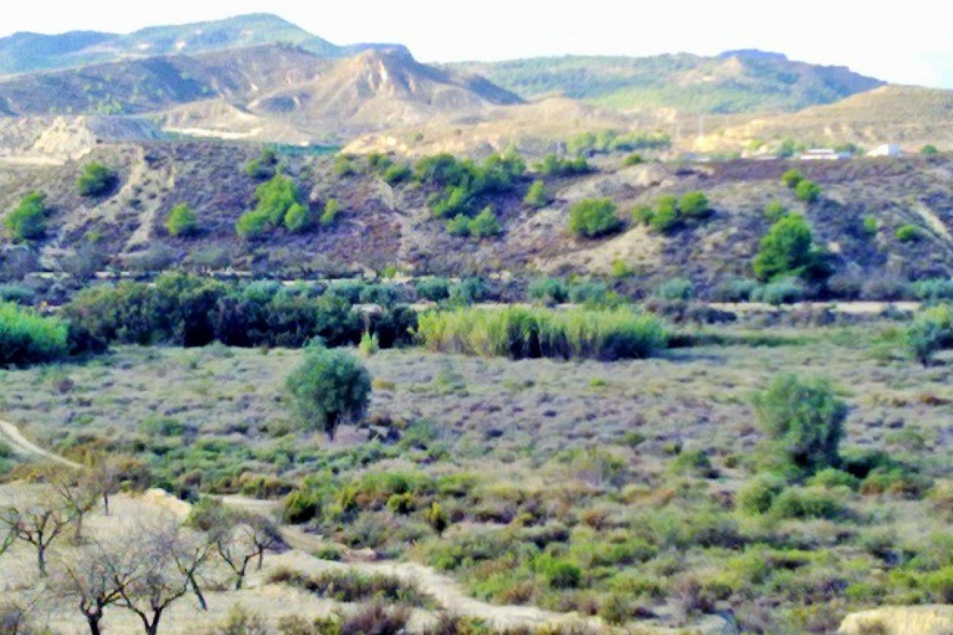 Herverkoop - Perceel / Grond - Torremendo