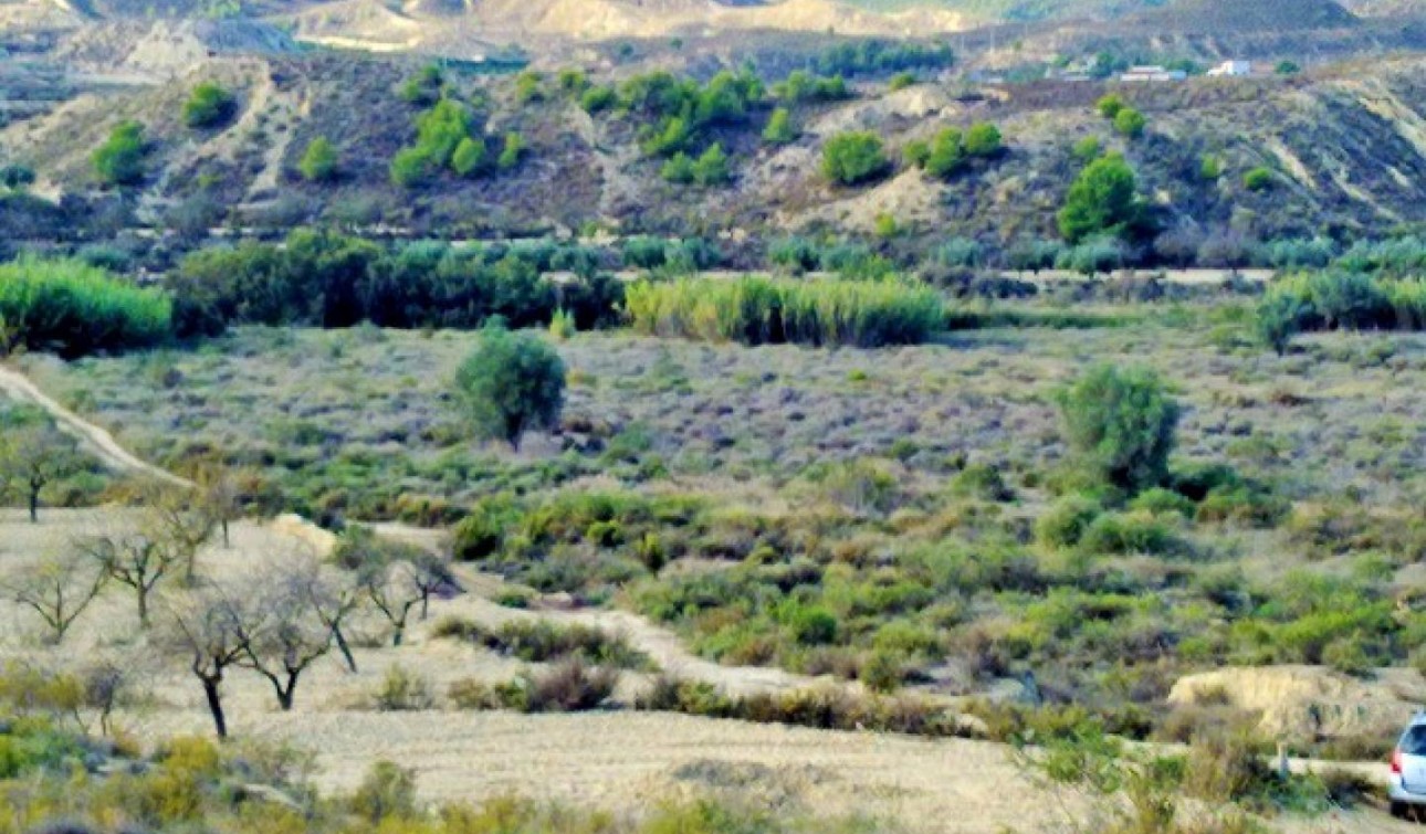 Herverkoop - Perceel / Grond - Torremendo