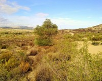 Herverkoop - Perceel / Grond - Torremendo