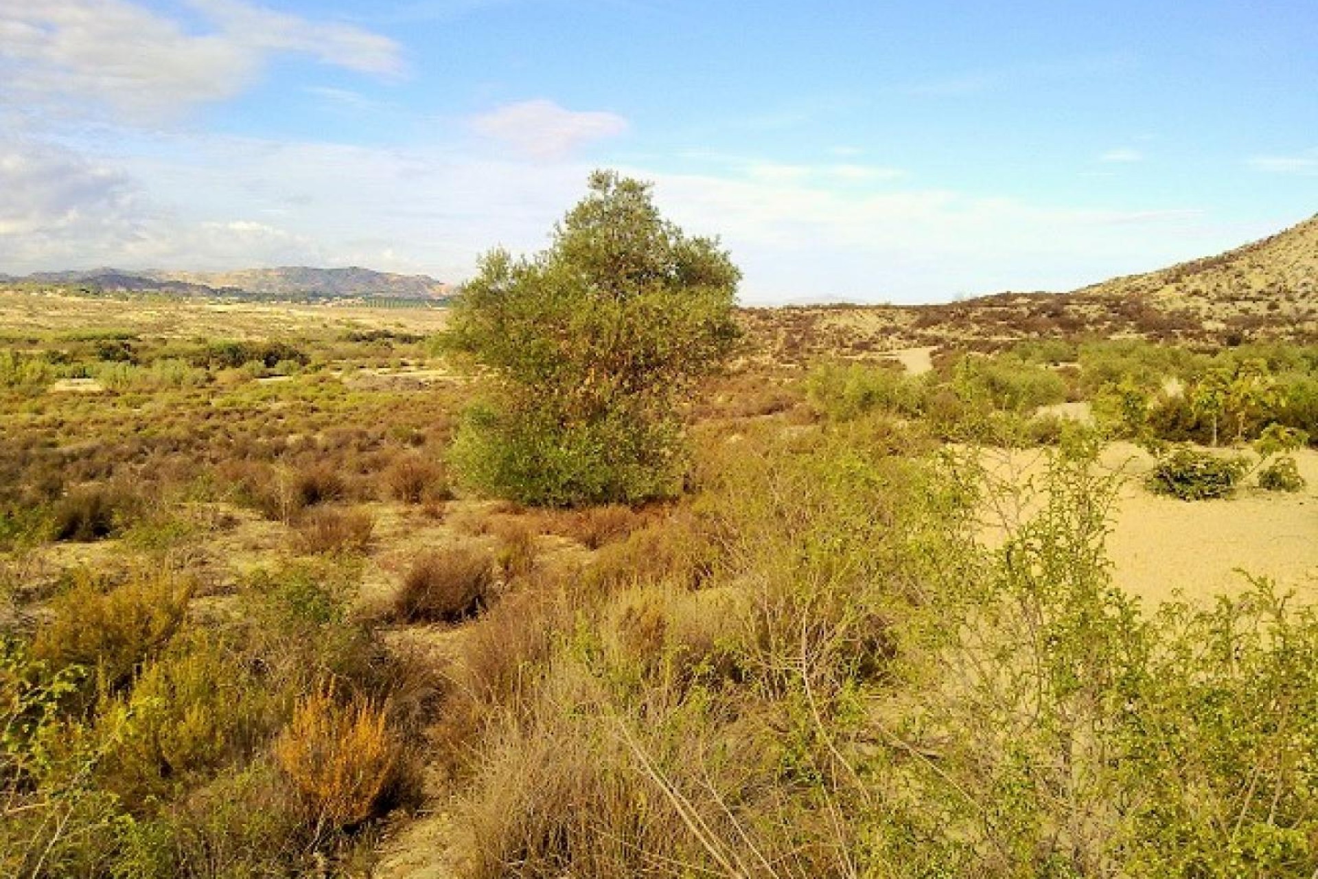 Herverkoop - Perceel / Grond - Torremendo