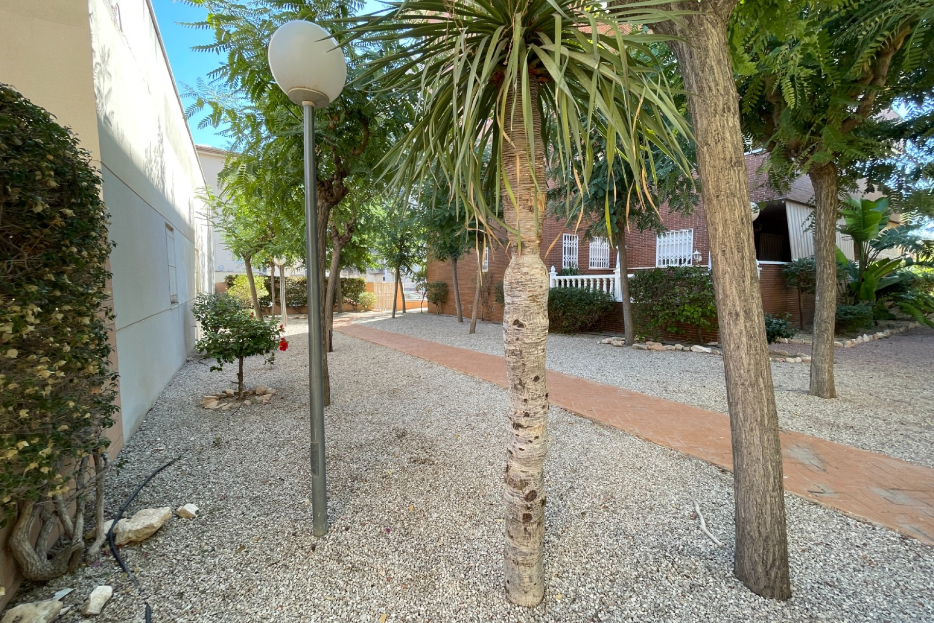 Herverkoop - Stadshuis - Elche - Center