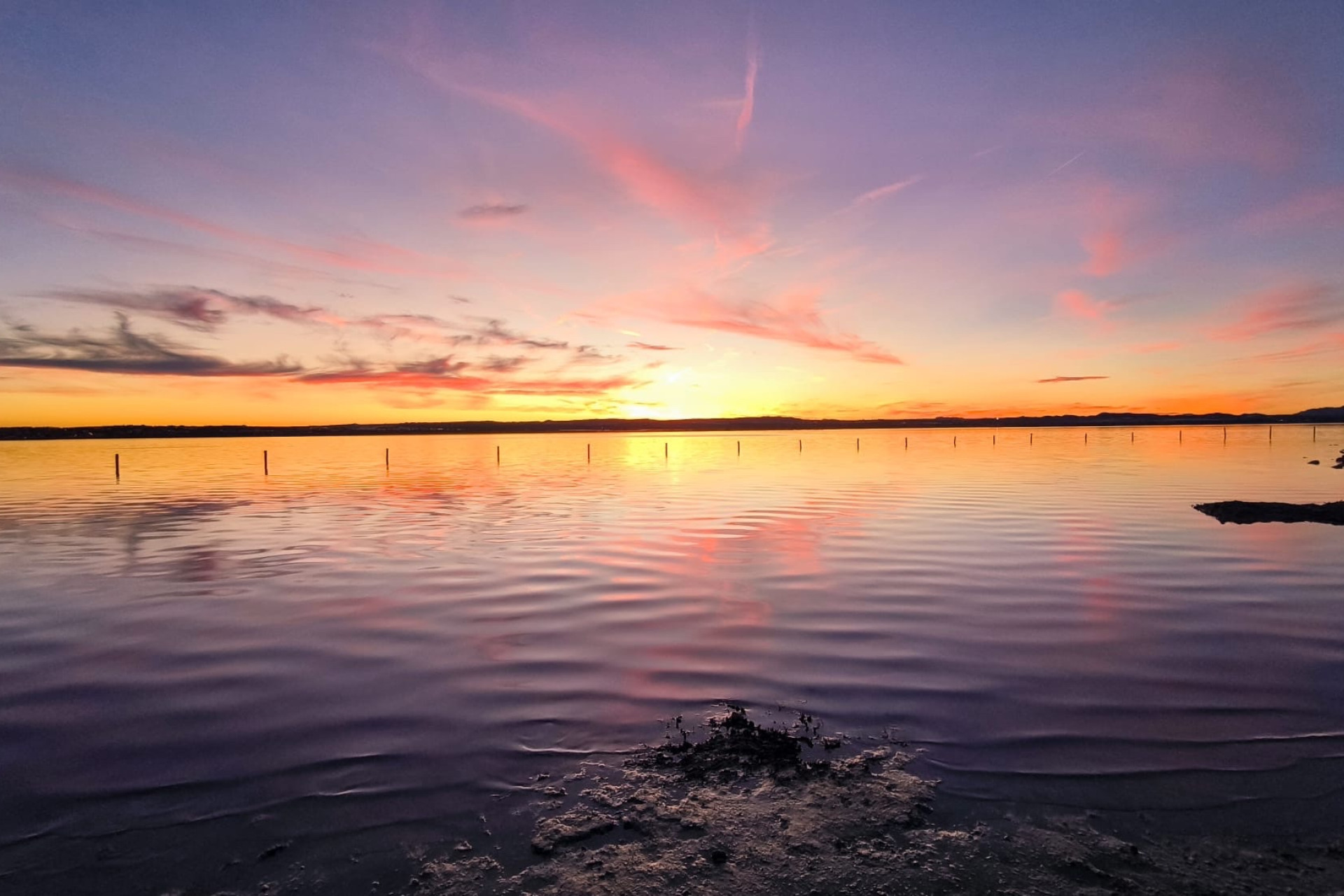 Herverkoop - Stadshuis - Torrevieja - El Chaparral