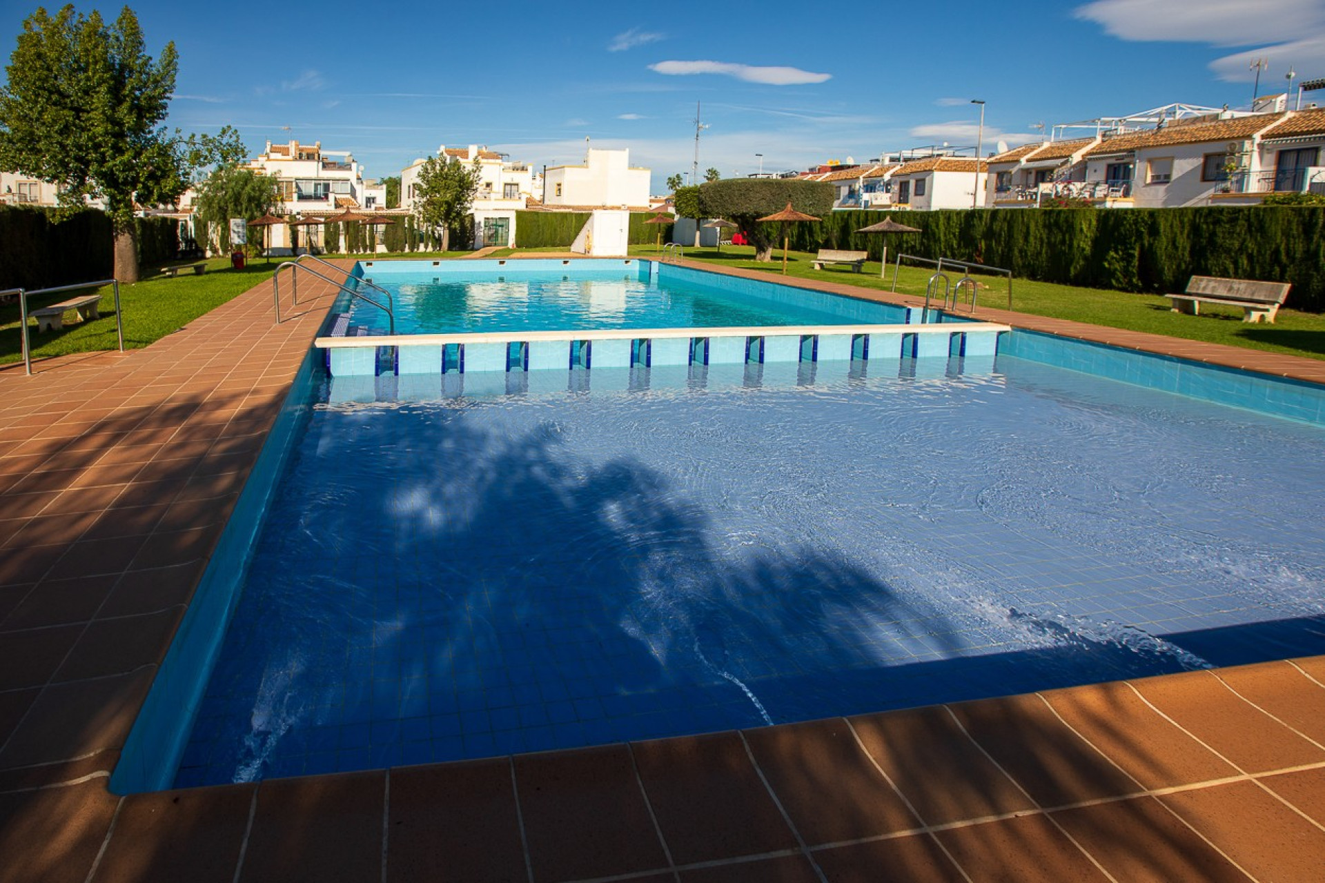 Herverkoop - Stadshuis - Torrevieja - Jardin Del Mar