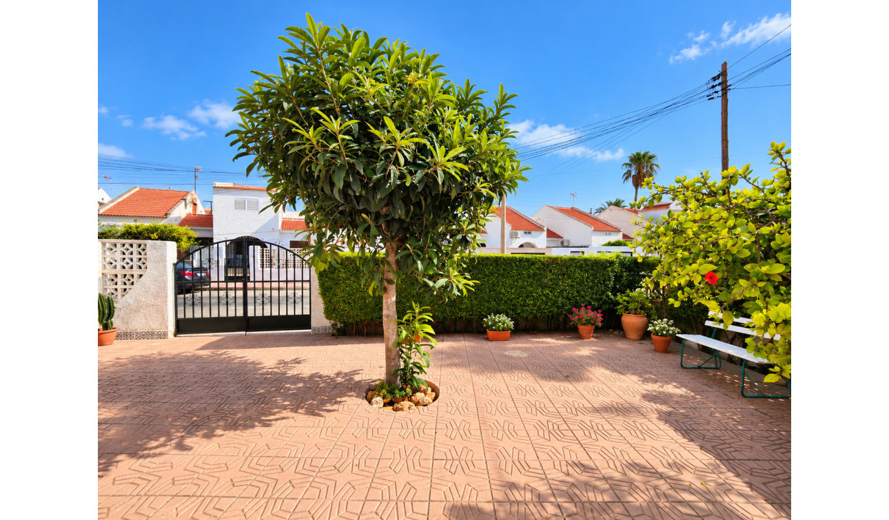 Herverkoop - Stadshuis - Torrevieja - Nueva Torrevieja