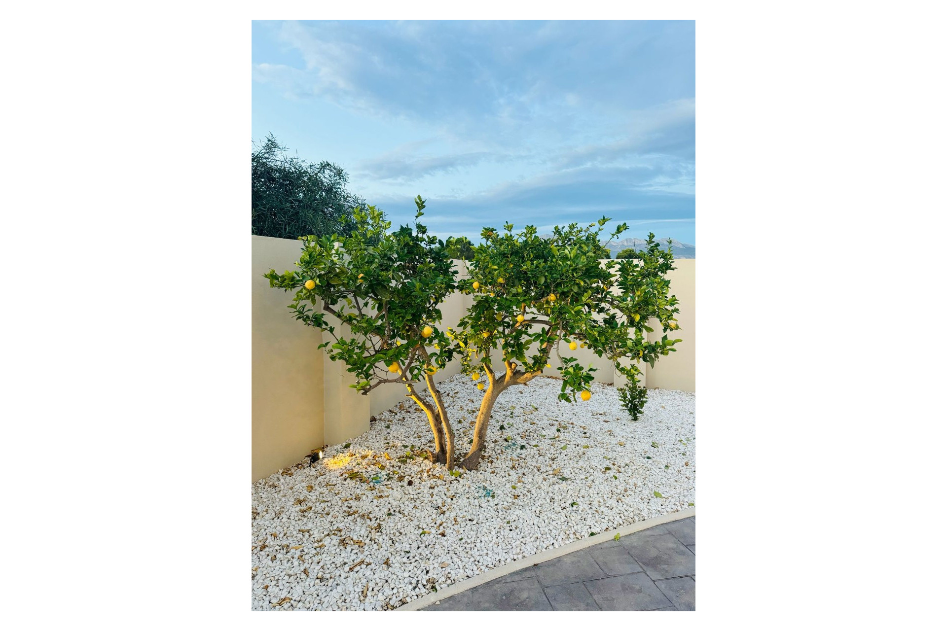 Herverkoop - Vrijstaande villa - Alfas del Pí - pueblo