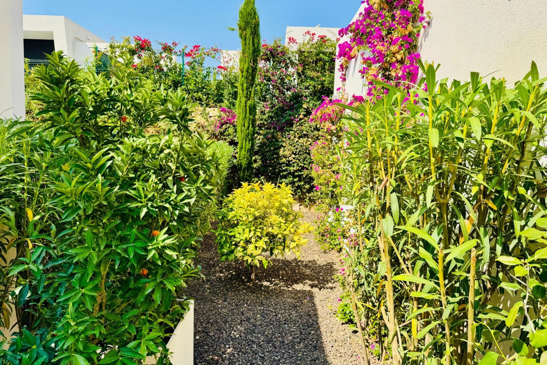 Herverkoop - Vrijstaande villa - Algorfa - La Finca Golf