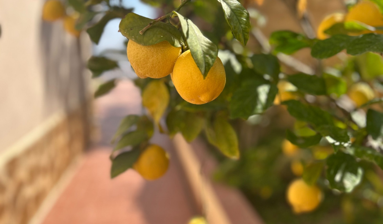 Herverkoop - Vrijstaande villa - Algorfa - Lomas de Juliana