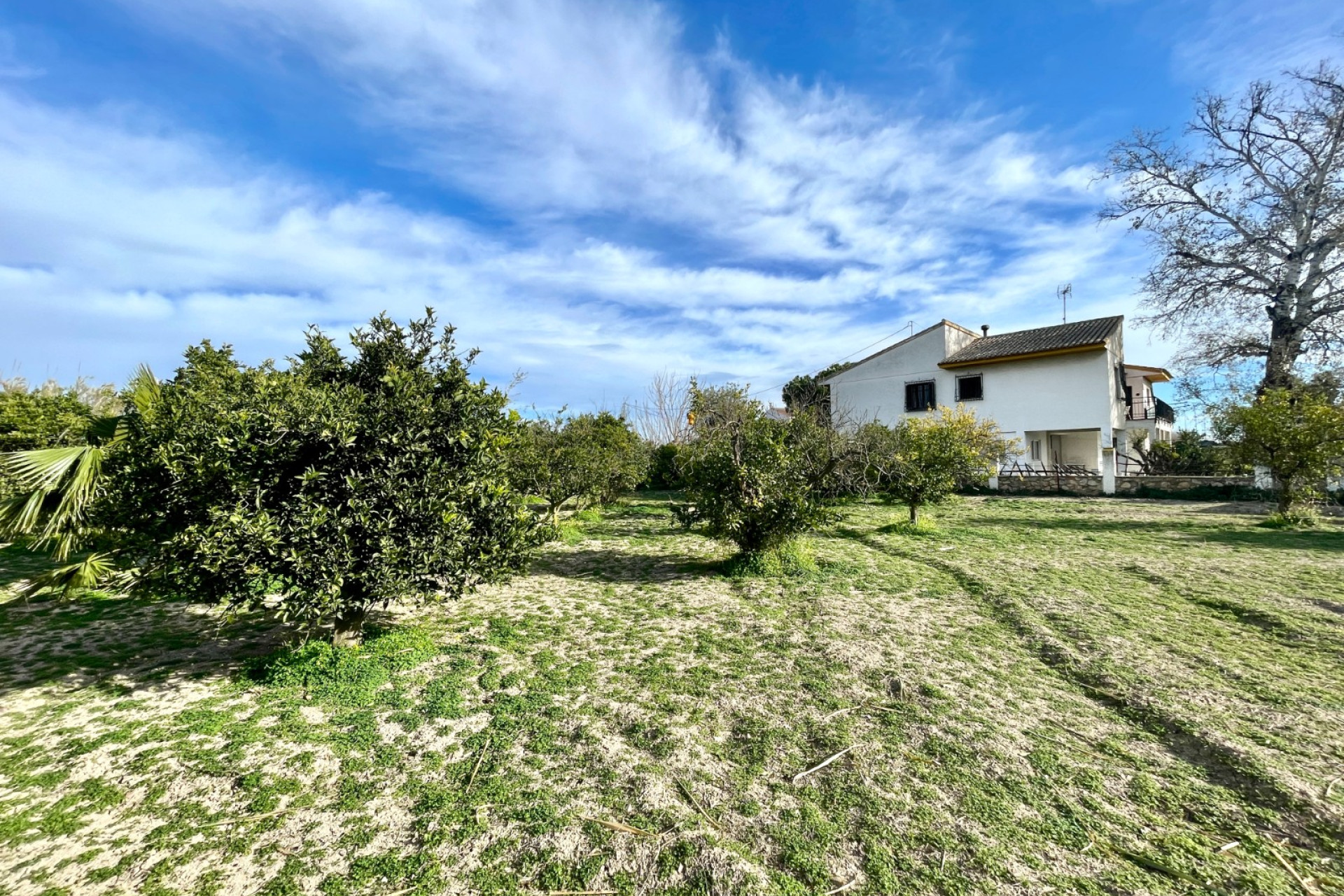 Herverkoop - Vrijstaande villa - Benejúzar - Comunidad Valenciana